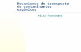 Mecanismos de transporte de contaminantes orgánicos Pilar Fernández.