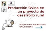 Producción Ovina en un proyecto de desarrollo rural Proyecto de Voluntariado Universitario.
