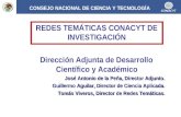 CONSEJO NACIONAL DE CIENCIA Y TECNOLOGÍA REDES TEMÁTICAS CONACYT DE INVESTIGACIÓN Dirección Adjunta de Desarrollo Científico y Académico José Antonio de.