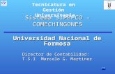 Sistema SIPEFCO - COMECHINGONES Universidad Nacional de Formosa Director de Contabilidad: T.S.I Marcelo G. Martinez Tecnicatura en Gestión Universitaria.