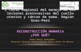 Pedro Marín Rodríguez Hospital General Universitario Reina Sofía de Murcia I Curso Regional del manejo de las lesiones preinvasivas del cuello uterino.