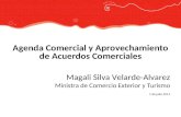 Agenda Comercial y Aprovechamiento de Acuerdos Comerciales Magali Silva Velarde-Alvarez Ministra de Comercio Exterior y Turismo 1 de julio 2014.