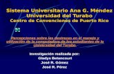 Sistema Universitario Ana G. Méndez Universidad del Turabo Centro de Convenciones de Puerto Rico Percepciones sobre las destrezas en el manejo y utilización.
