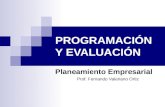 PROGRAMACIÓN Y EVALUACIÓN Planeamiento Empresarial Prof. Fernando Valeriano Ortiz.