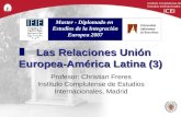 Las Relaciones Unión Europea-América Latina (3) Profesor: Christian Freres Instituto Complutense de Estudios Internacionales, Madrid Instituto Complutense.