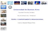 Universidad de Buenos Aires Facultad Ciencias Sociales RELACIONES DEL TRABAJO Cátedra: Ricardo Piñeyro Prins TEORÍA Y COMPORTAMIENTO ORGANIZACIONAL.