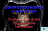 COMPORTAMIENTOS DIGITALES Cristian David mejia Cristian David Hernández Cristian David mejia Cristian David Hernández.