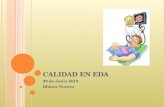CALIDAD EN EDA 29 de Junio 2010 Blanca Norero. ESQUEMA DE LA PRESENTACIÓN Introducción Indicadores de calidad en EDA, según la task force ASGE/ACG (GIE.