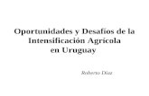 Oportunidades y Desafíos de la Intensificación Agrícola en Uruguay Roberto Díaz.