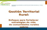 Gestión Territorial Rural: Enfoque para fortalecer estrategias de vida de comunidades rurales pobres San Salvador, 8-9 de mayo de 2007 PROGRAMA SALVADOREÑO.