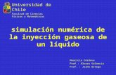 Simulación numérica de la inyección gaseosa de un líquido Mauricio Córdova Prof.: Alvaro Valencia Prof. : Jaime Ortega Universidad de Chile Facultad de.