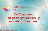 Braun, Llach: Macroeconomía argentina 1 Capítulo XV: Inflación, hiperinflación y estabilización.