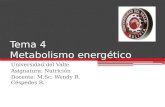 Tema 4 Metabolismo energético Universidad del Valle Asignatura: Nutrición Docente: M.Sc. Wendy R. Céspedes R.