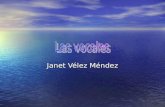 Janet V©lez M©ndez. Men Vocales Vocales Vocales Vocales maysculas Vocales maysculas Vocales maysculas Vocales maysculas Vocales minsculas Vocales