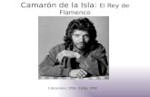 Camarón de la Isla: E l Rey de Flamenco 5 diciembre, 1950 - 2 julio, 1992.