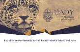 Estudios de Pertinencia Social, Factibilidad y Estado del Arte.