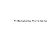Metabolismo Microbiano. Tipos Metabólicos Compuestos a metabolizar Diversidad.