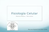 Fisiología Celular Materia Médica - Policrestos Marcelo Rubicel González Salas.