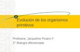 Evolución de los organismos primitivos Profesora: Jacqueline Pizarro F. 3° Biología diferenciada.