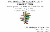 ORIENTACIÓN ACADÉMICA Y PROFESIONAL Guía para la ESO en centros de Castilla y León. Curso 2011 / 2012 IES Obispo Argüelles (Villablino) Abril 2012.