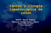 Cáncer y Cirugía Laparoscopica de colon Rafael García Duperly Servicio Cirugía Colon y Recto Fundación Santa Fe de Bogotá Clínica Reina Sofía.