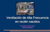 Ventilación de Alta Frecuencia en recién nacidos Dra. Alejandra Iruegas Maeda Pediatra Neonatóloga.