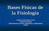 Bases Físicas de la Fisiología Adolfo Castillo Meza, M.Sc. Profesor Principal Departamento de Física, Informática y Matemáticas UPCH.