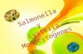 Salmonella y Lysteria Monocytogenes. ¿Qué es Salmonella? Es un bacilo, Gram negativa, que puede causar enfermedades diarreicas en los humanos. Anaerobia.