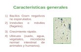 Características generales 1)Bacilos Gram negativos no esporulados. 2)Inmóviles o móviles (flagelos). 3)Crecimiento rápido. 4)Ubicuos (suelo, agua, vegetales,