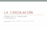 LA CIRCULACIÓN Colegio de La Inmaculada 5°Secundaria De: INSTITUTO DE CIENCIAS Y HUMANIDADES. “Introducción a la Economía, Enfoque Social”.