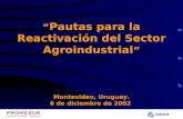 CONSUR “ Pautas para la Reactivación del Sector Agroindustrial ” Montevideo, Uruguay. 6 de diciembre de 2002 CONSUR.