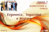 Ergonomía, Seguridad e Higiene Semana 3 28/04/2015 LITARH Ergonomía, productividad y trabajo.