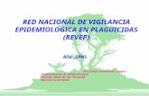 RED NACIONAL DE VIGILANCIA EPIDEMIOLOGICA EN PLAGUICIDAS (REVEP) Dra.Clelia Vallebuona Stagno Departamento de Epidemiología División Salud de las Personas.