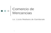 1 Comercio de Mercancias Lic. Lizzie Medrano de Gamberale.