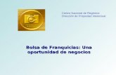 Bolsa de Franquicias: Una oportunidad de negocios Centro Nacional de Registros Dirección de Propiedad Intelectual.