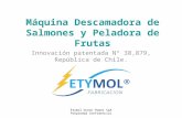 Etymol Ocean Power SpA Propiedad Confidencial Máquina Descamadora de Salmones y Peladora de Frutas Innovación patentada N° 38,879, República de Chile.