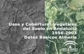 Usos y Coberturas Vegetales del Suelo en Andalucía 1956-2003 Datos Básicos Almería.