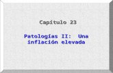 Capítulo 23 Patologías II: Una inflación elevada.