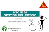 CESAR FRANCISCO NATES CESAR FRANCISCO NATES Responsabilidad Integral NTC 5254 GESTIÓN DEL RIESGO 26-05-2004.