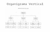 Organigrama Vertical. ORGANIGRAMA ESCALAR.