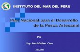 Plan Nacional para el Desarrollo de la Pesca Artesanal INSTITUTO DEL MAR DEL PERU INSTITUTO DEL MAR DEL PERU Por Ing. Ana Medina Cruz Julio, 2006.
