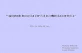 “Apoptosis inducida por Bid es inhibida por Bcl-2” Mariano Dellarole Fernanda Quinteros Laura Sifonios JBC, Vol. 18,No 19, 2003.