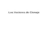 Los Vectores de Clonaje. Realizado por Dr. A. Martínez-Conde & Dra P. Mayor Dep. Bioquímica y Biología Molecular Fac. Medicina Universidad Complutense.