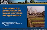 Uso seguro y productivo de aguas servidas en agricultura Javier Mateo-Sagasta Dávila FAO División de Tierras y Aguas.