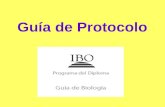 Guía de Protocolo. La siguiente información fue tomada de la página del IBO: .