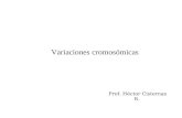 Variaciones cromosómicas Prof. Héctor Cisternas R.