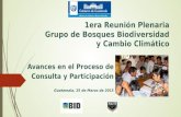 1era Reunión Plenaria Grupo de Bosques Biodiversidad y Cambio Climático Avances en el Proceso de Consulta y Participación Guatemala, 25 de Marzo de 2015.