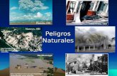 Peligros Naturales Loma Prieta, 1989 San Francisco, 1906  iles/landslides/slides/slide4.htm Mameyes, 1985 Pinatubo, 1991.