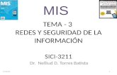 TEMA - 3 REDES Y SEGURIDAD DE LA INFORMACIÓN SICI-3211 Dr. Nelliud D. Torres Batista  28/04/2015 1 MIS.