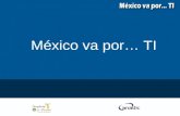 México va por… TI. Proyecto Hotel + Restaurante Antecedentes: Actualmente es muy importante la implementación de herramientas tecnológicas para el desarrollo.